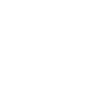 Verified Icon
